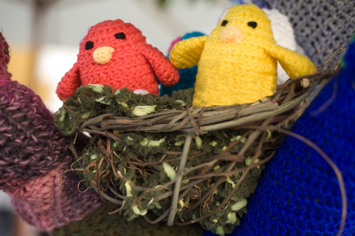 10 Must-Try Crochet Galah Patterns For Galah Puppets